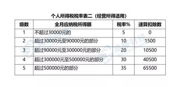 會計專業能力提升 稅務、社保與工商年報代理實踐指南